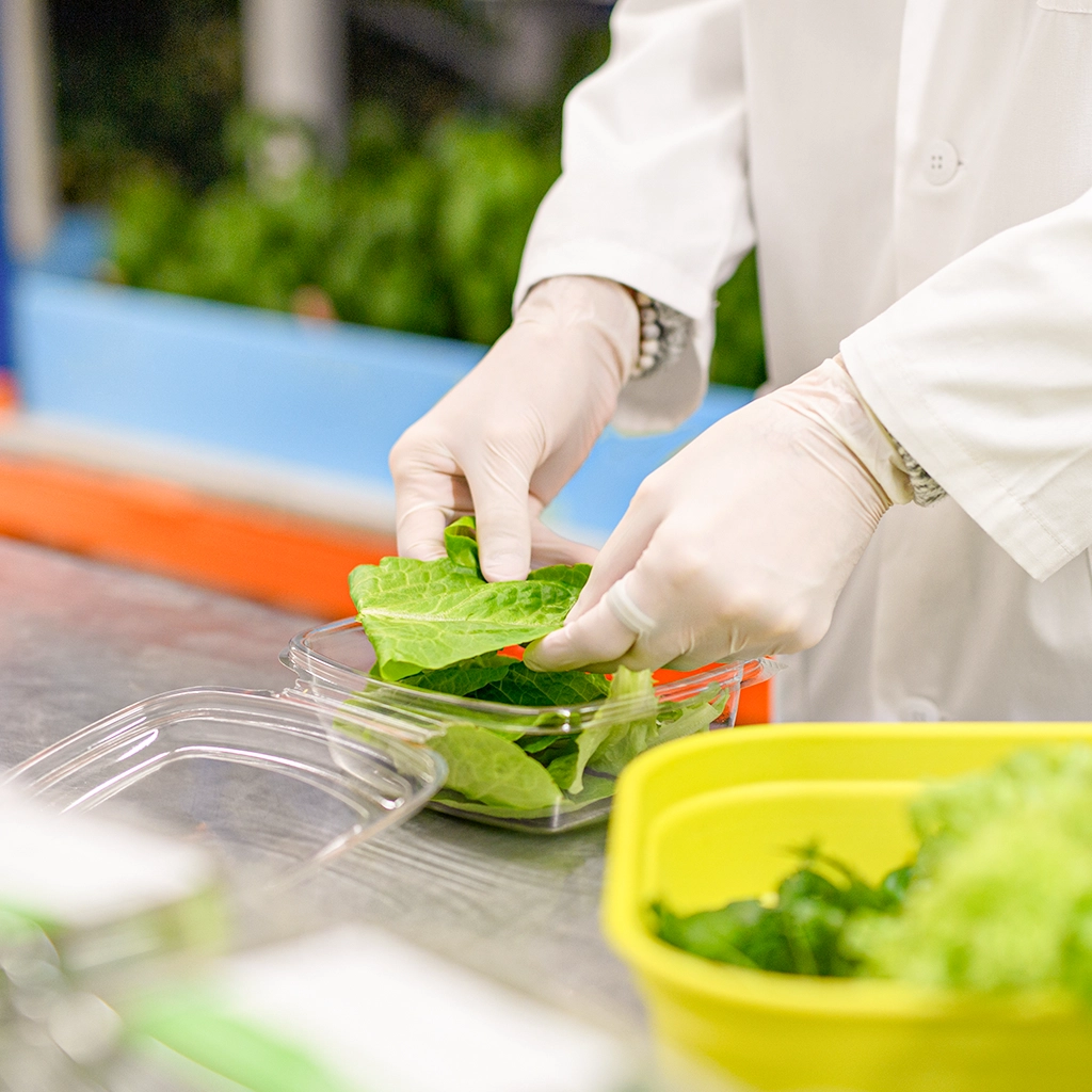 Özel Diyet Menü Hizmeti